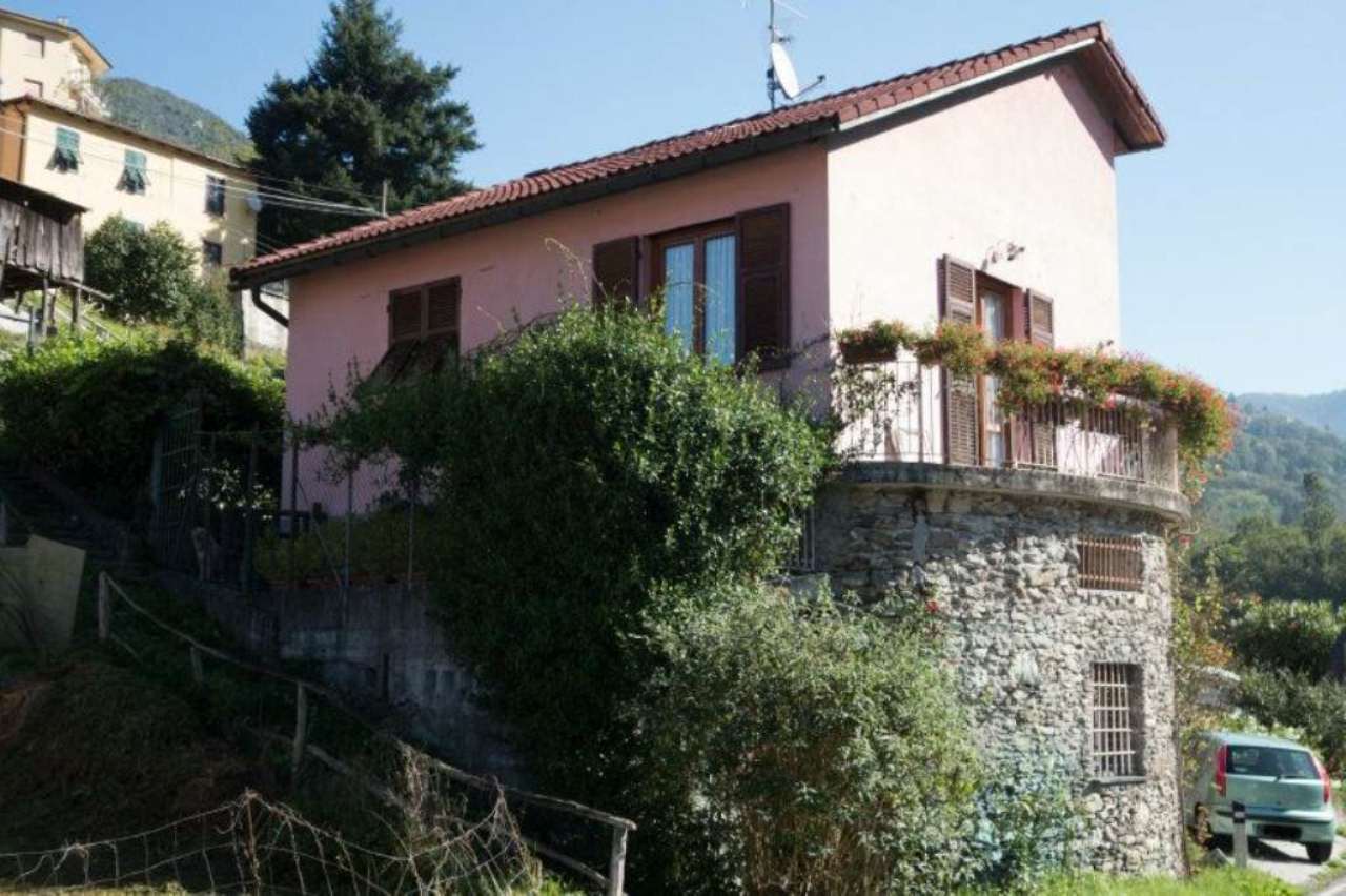 Villa Unifamiliare - Indipendente NEIRONE vendita   Acqua di Ognio FONTANABUONA IMMOBILIARE