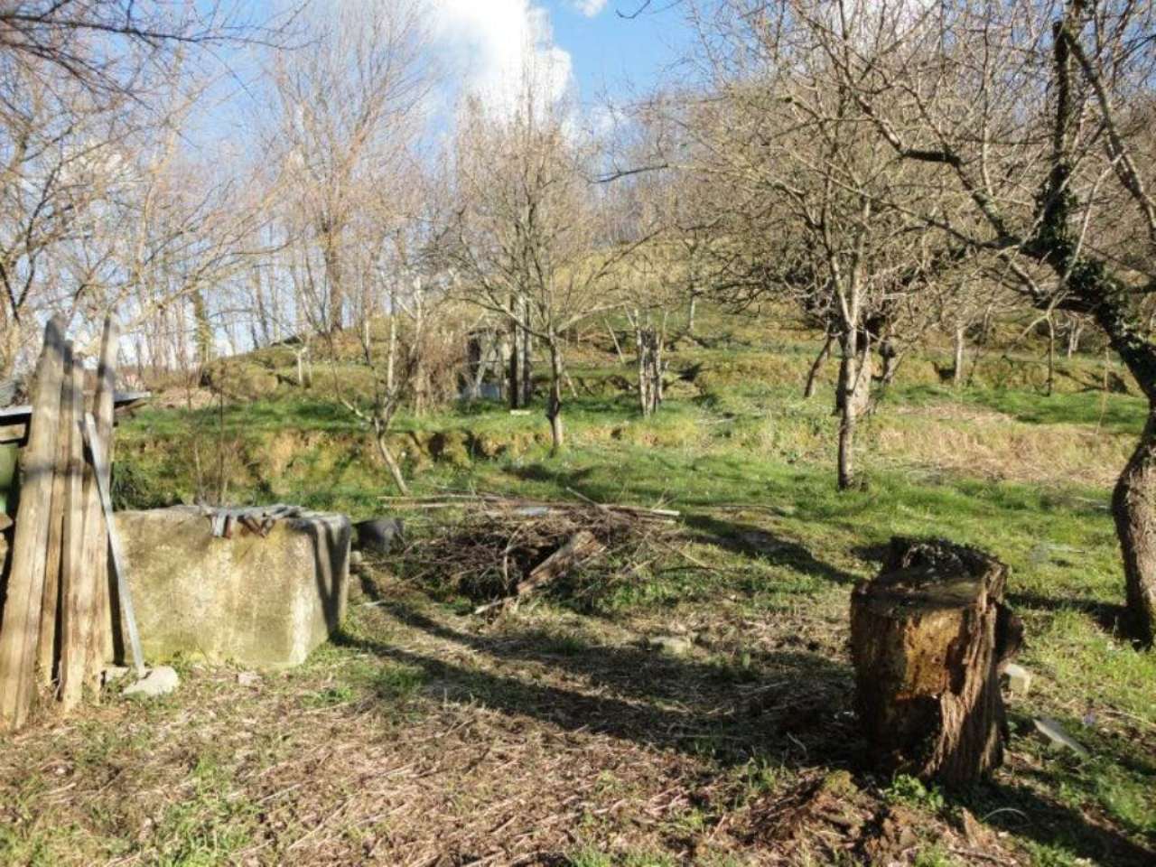 Villa Unifamiliare - Indipendente BARGAGLI vendita   traso alta FONTANABUONA IMMOBILIARE