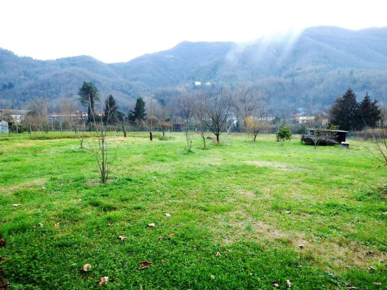 Appartamento CICAGNA affitto   Cicagna FONTANABUONA IMMOBILIARE