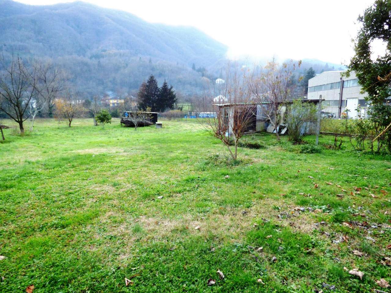Appartamento CICAGNA affitto   Cicagna FONTANABUONA IMMOBILIARE