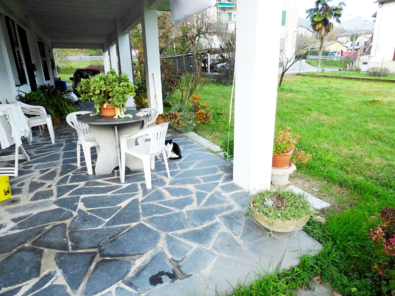 Appartamento CICAGNA affitto   Cicagna FONTANABUONA IMMOBILIARE