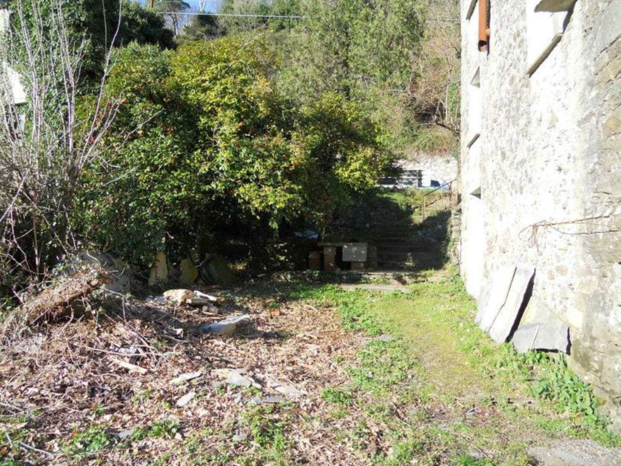 Rustico - Cascina SAN COLOMBANO CERTENOLI vendita   calvari FONTANABUONA IMMOBILIARE