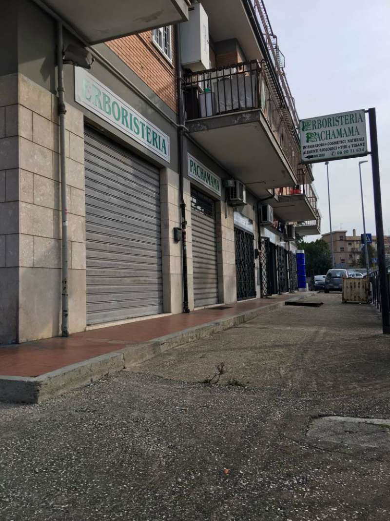  roma affitto quart: finocchio tre-effe-immobiliare