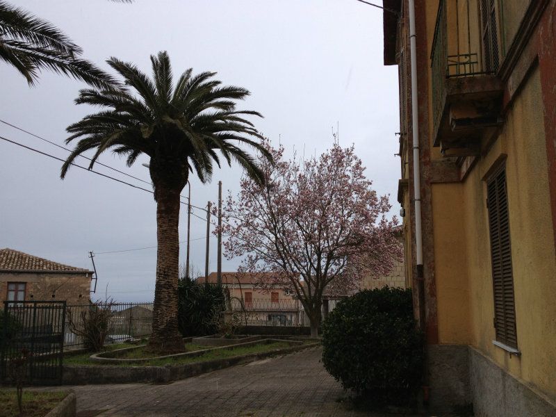 Villa DRAPIA vendita    Dimensione Centro