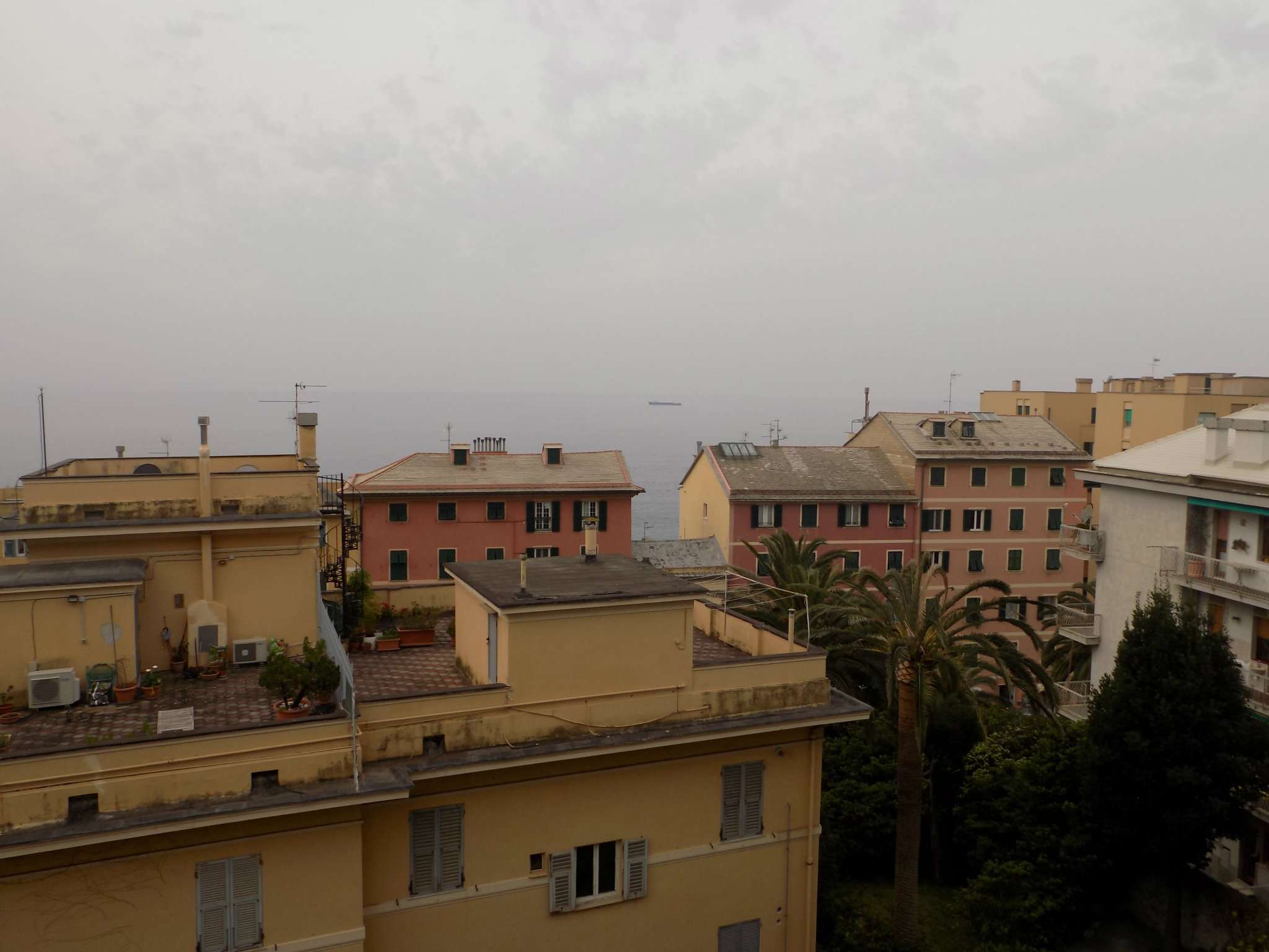 Appartamento GENOVA affitto  NERVI VIA MURCAROLO Due A Immobiliare S.A.S.