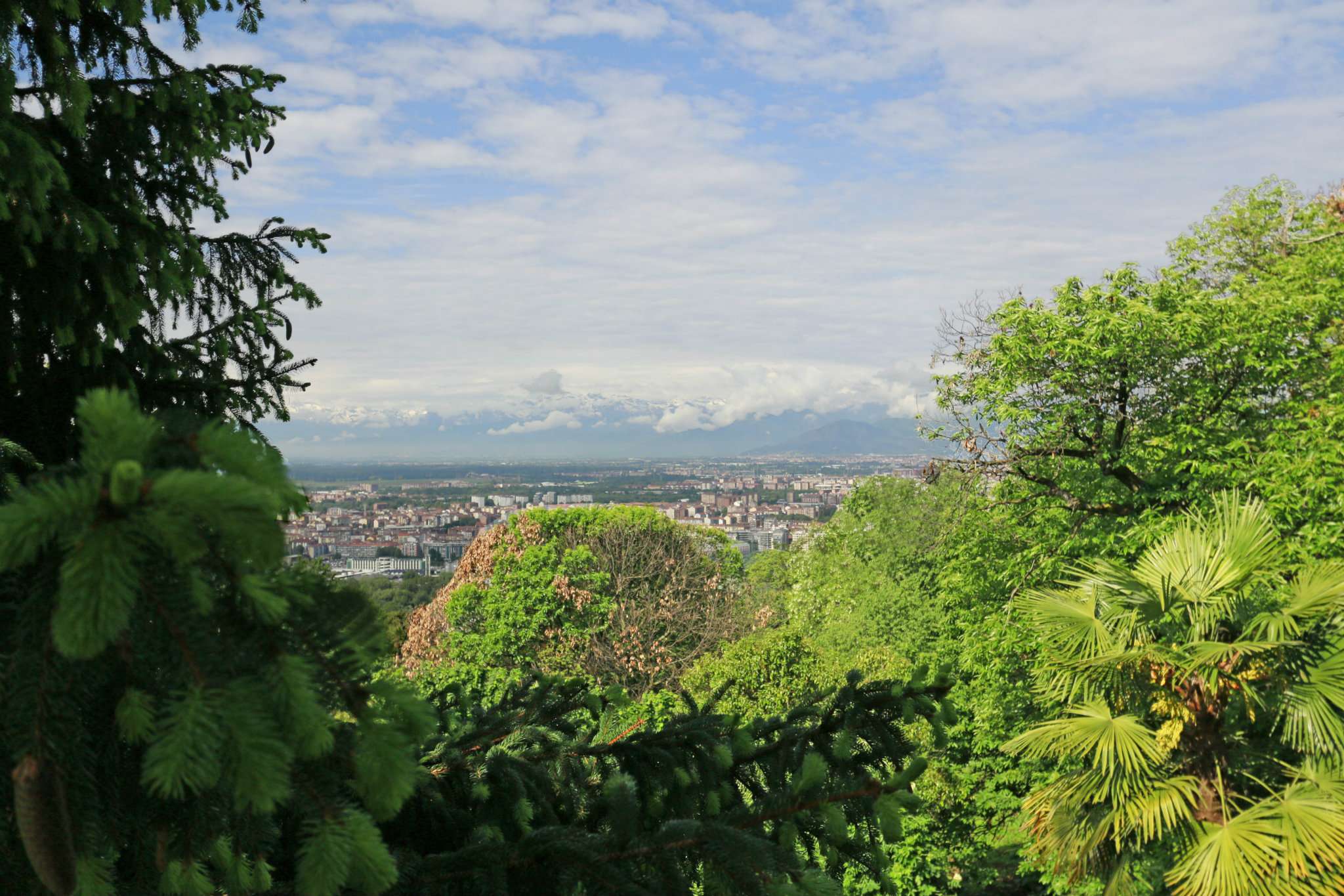  moncalieri vendita quart: ac es chiusano & c. torino