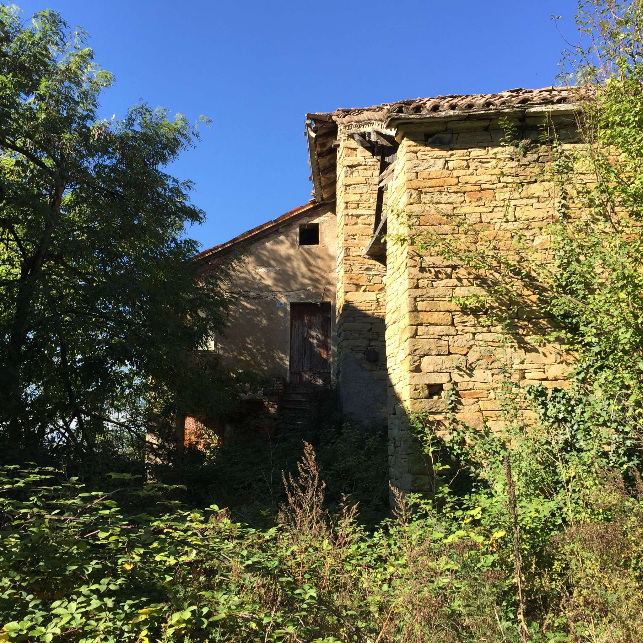 Rustico - Cascina PRIGNANO SULLA SECCHIA vendita    BELLEI SERVIZI IMMOBILIARI SRL