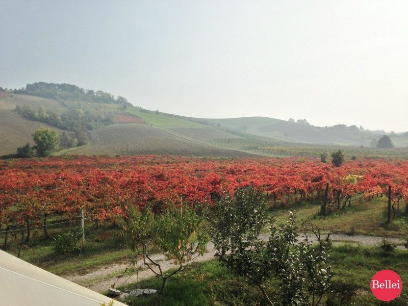  castelvetro di modena vendita quart:  bellei servizi immobiliari srl