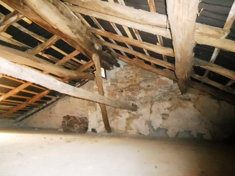 Rustico - Cascina CUASSO AL MONTE vendita    Broccucci Immobiliare