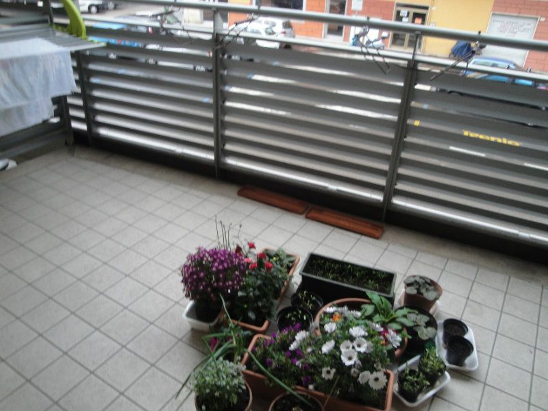 ancona vendita quart:  piazza house agenzia immobiliare
