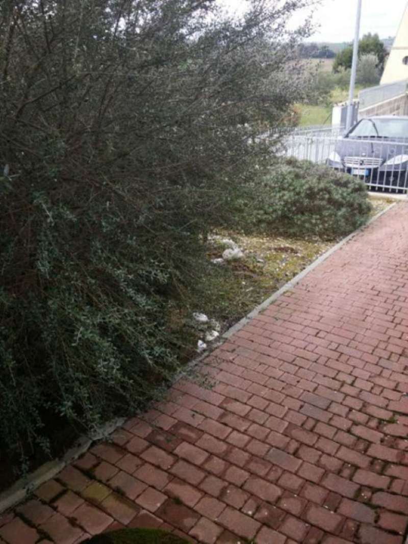 Appartamento POLVERIGI vendita    PIAZZA HOUSE AGENZIA IMMOBILIARE
