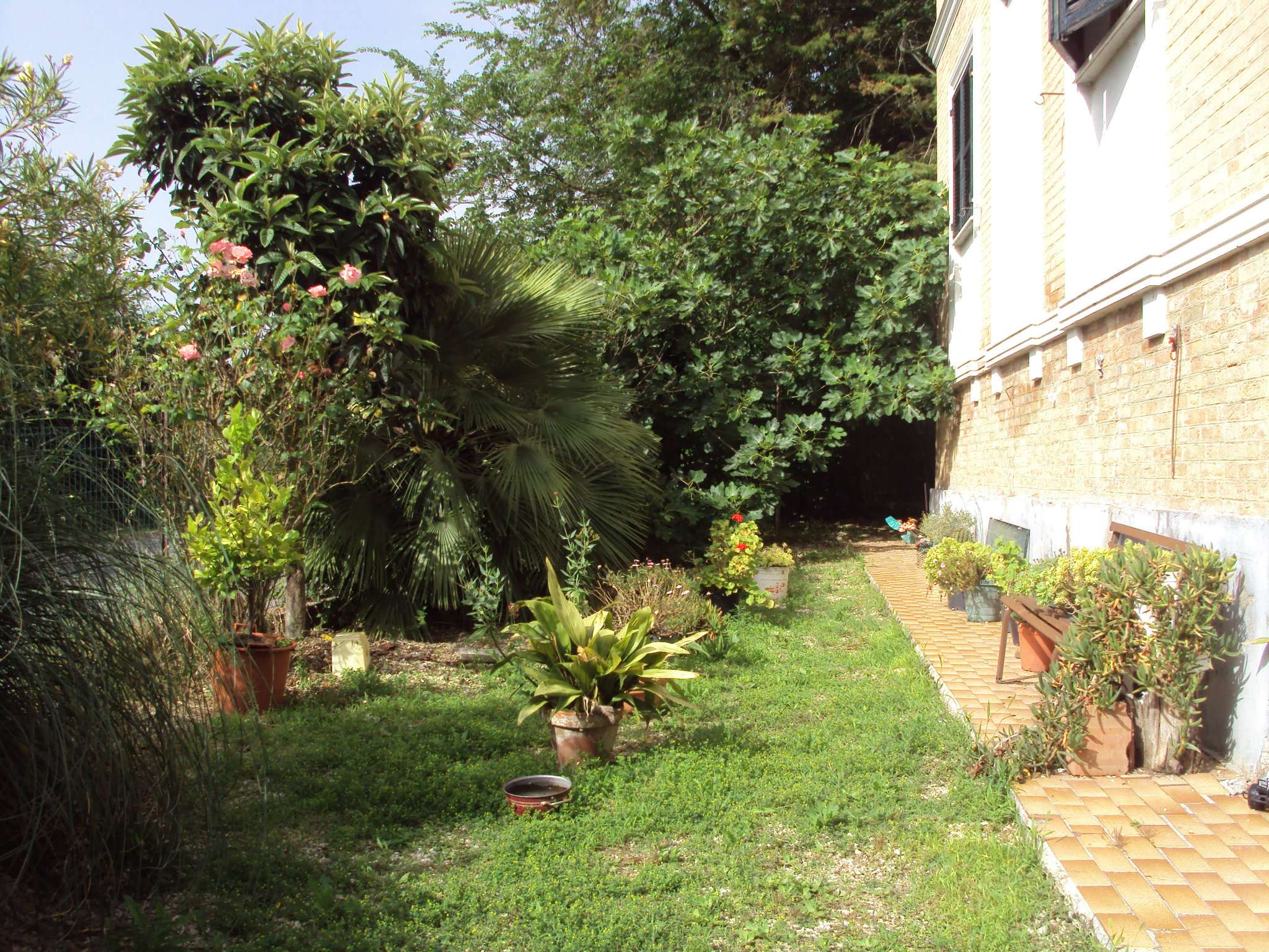 Villa Unifamiliare - Indipendente POLVERIGI vendita    PIAZZA HOUSE AGENZIA IMMOBILIARE