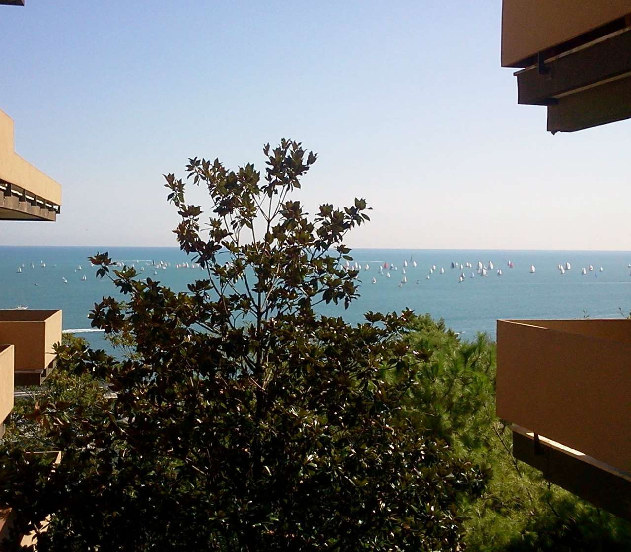  ancona vendita quart: centro storico piazza house agenzia immobiliare