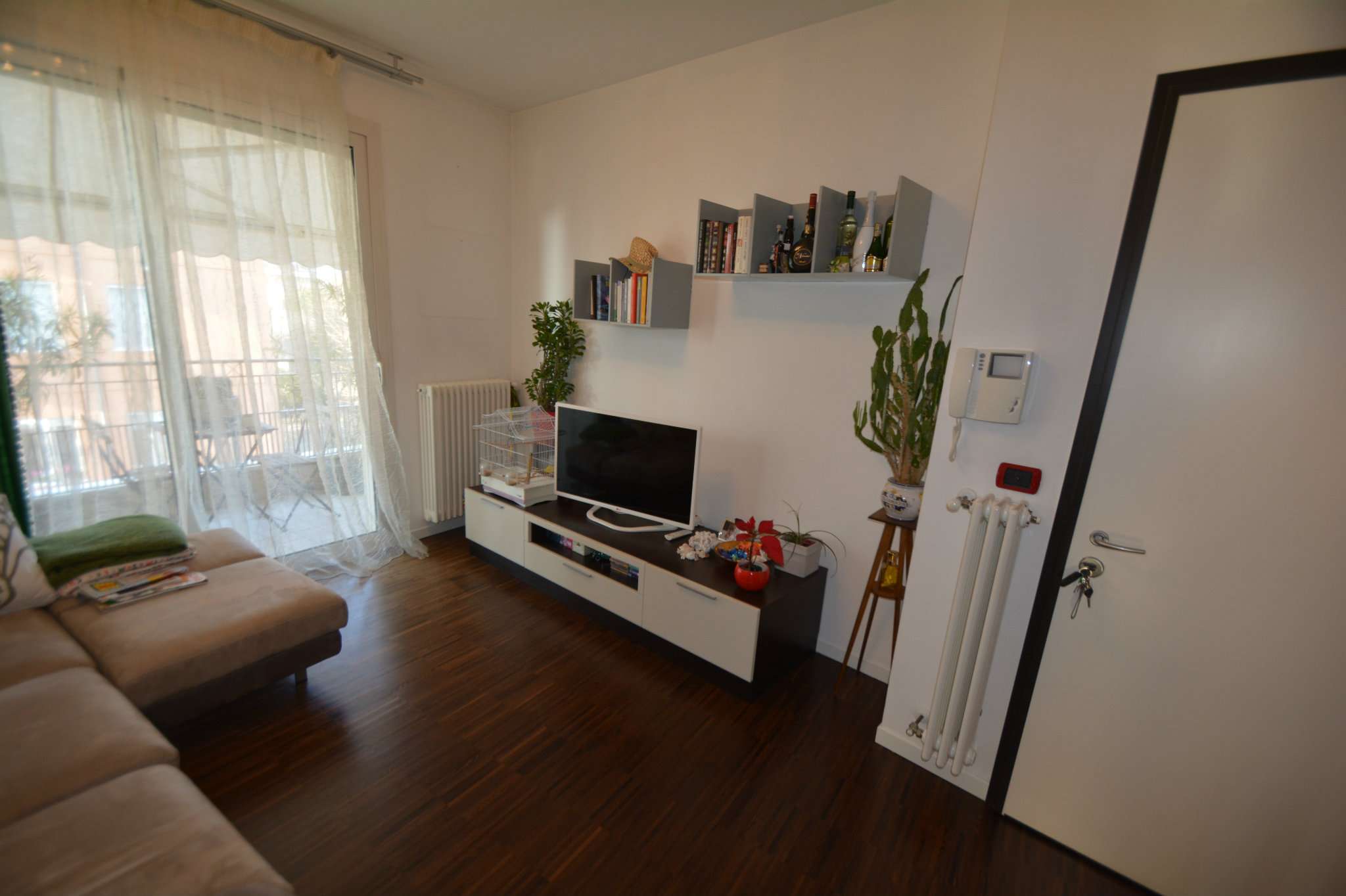 Appartamento RIMINI vendita    Immobiliare Bigiarini di Giuseppe Bigiarini e C. S.A.S