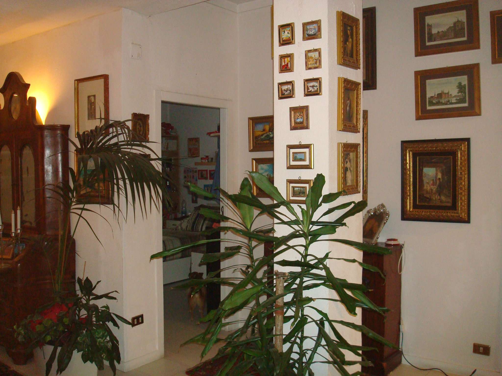Appartamento GENOVA vendita  SESTRI P. Sery Se Imm Srl