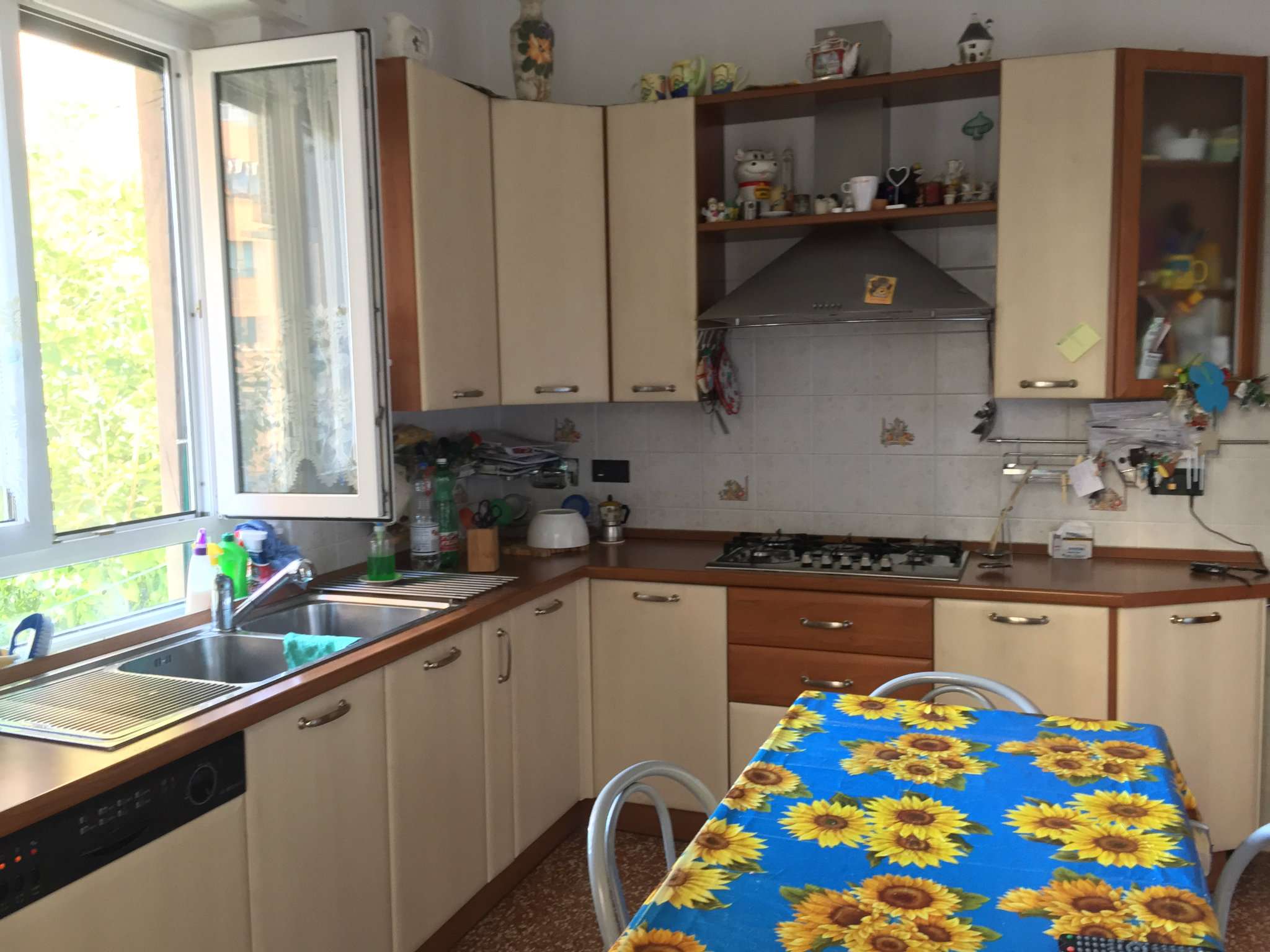 Appartamento GENOVA vendita  SESTRI P. Calda Se Imm Srl