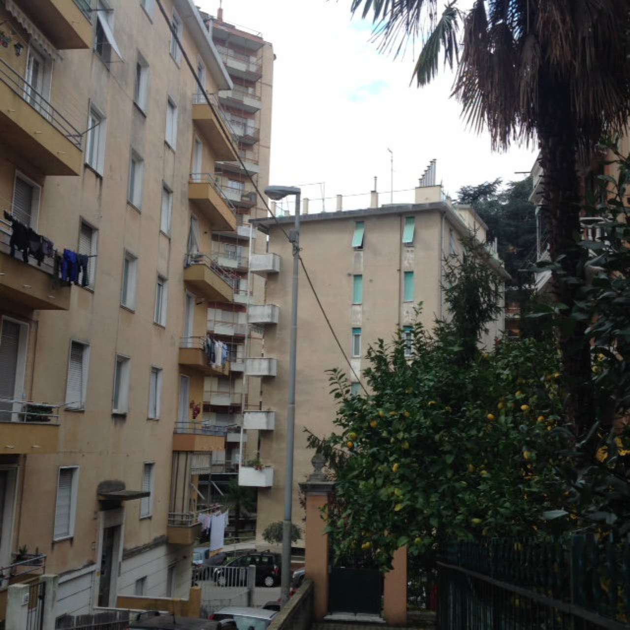 Appartamento GENOVA vendita  PEGLI Prestinari Se Imm Srl