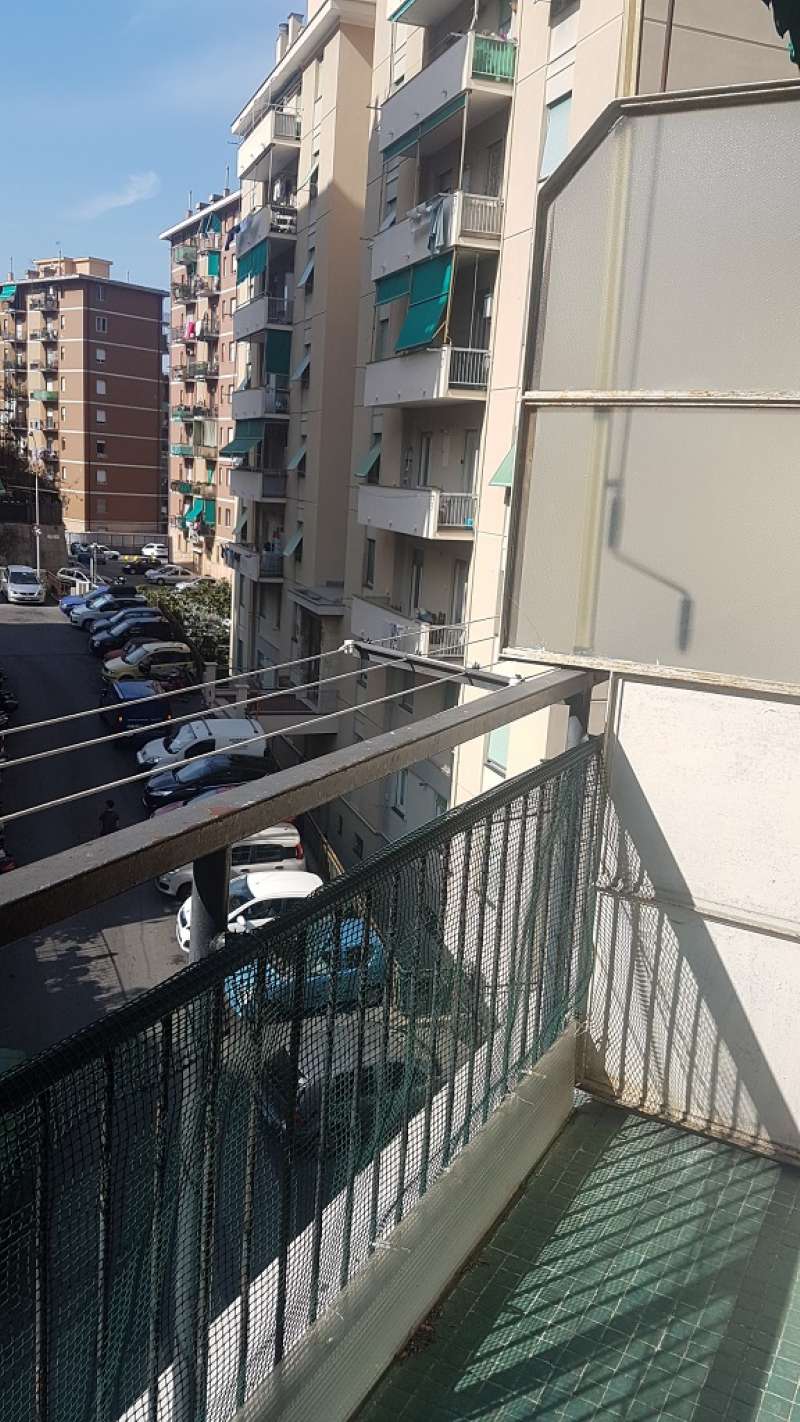 Appartamento GENOVA affitto  QUEZZI Edera Se Imm Srl