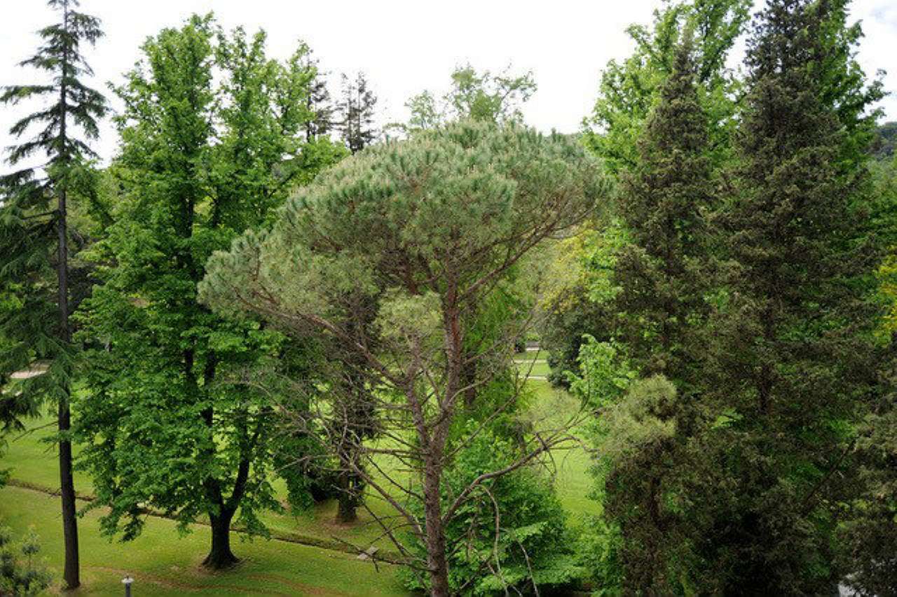  rapallo vendita quart:  se imm srl