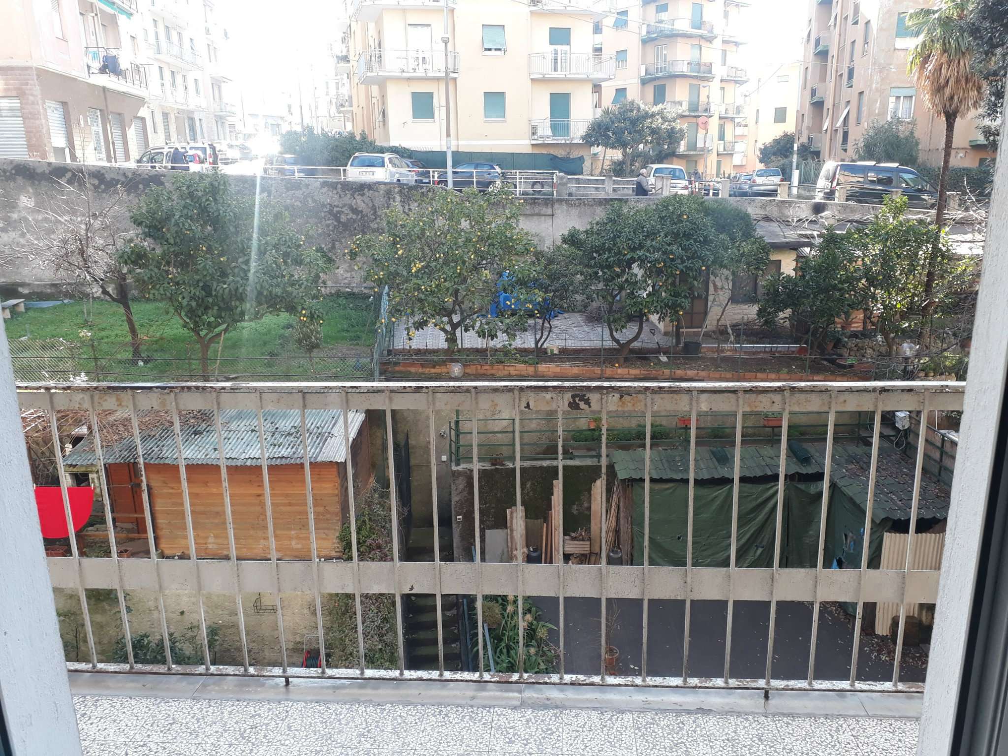 Appartamento GENOVA affitto  SESTRI P. Santelia Se Imm Srl