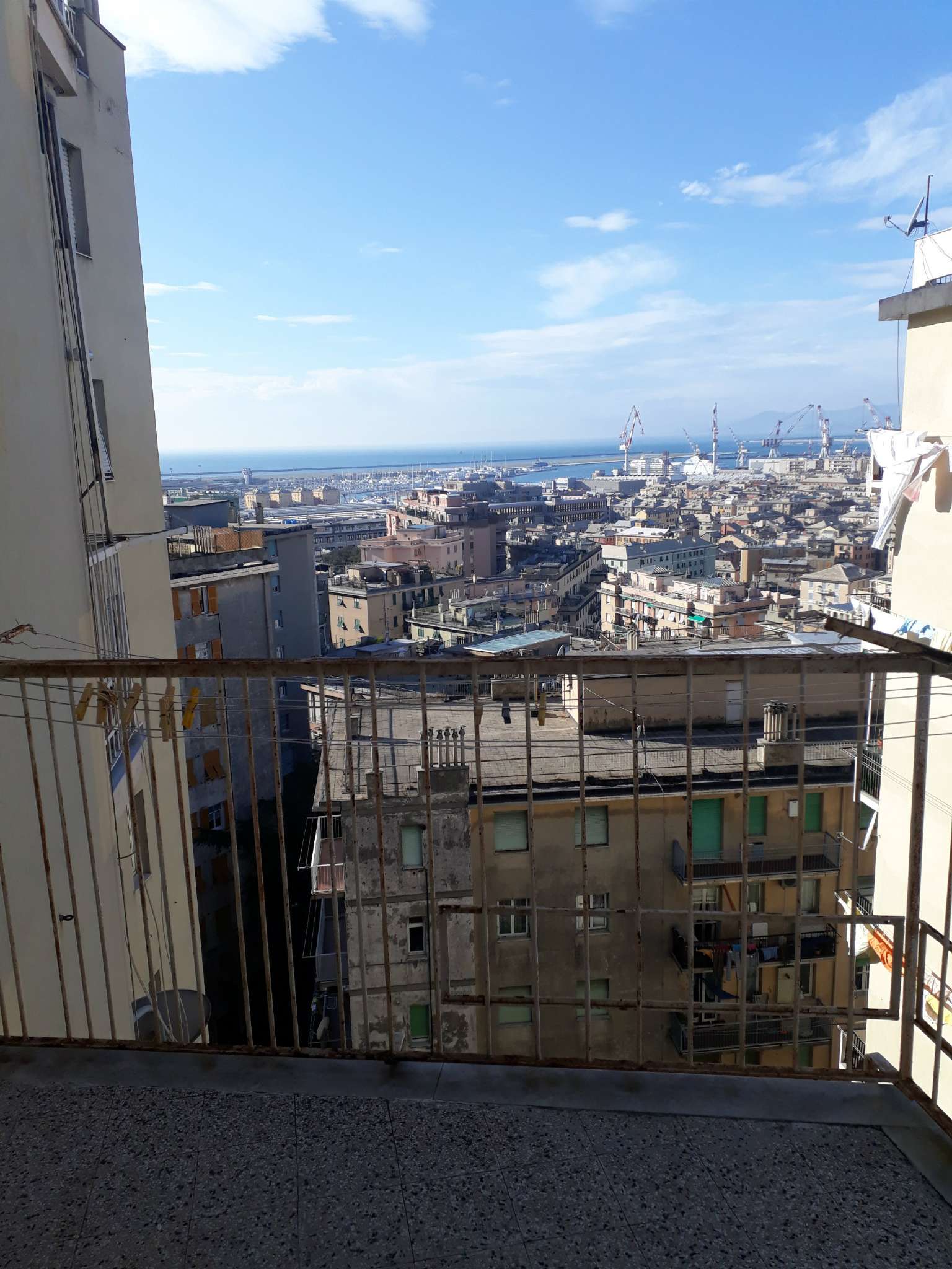 Appartamento GENOVA affitto  SESTRI P. Santelia Se Imm Srl