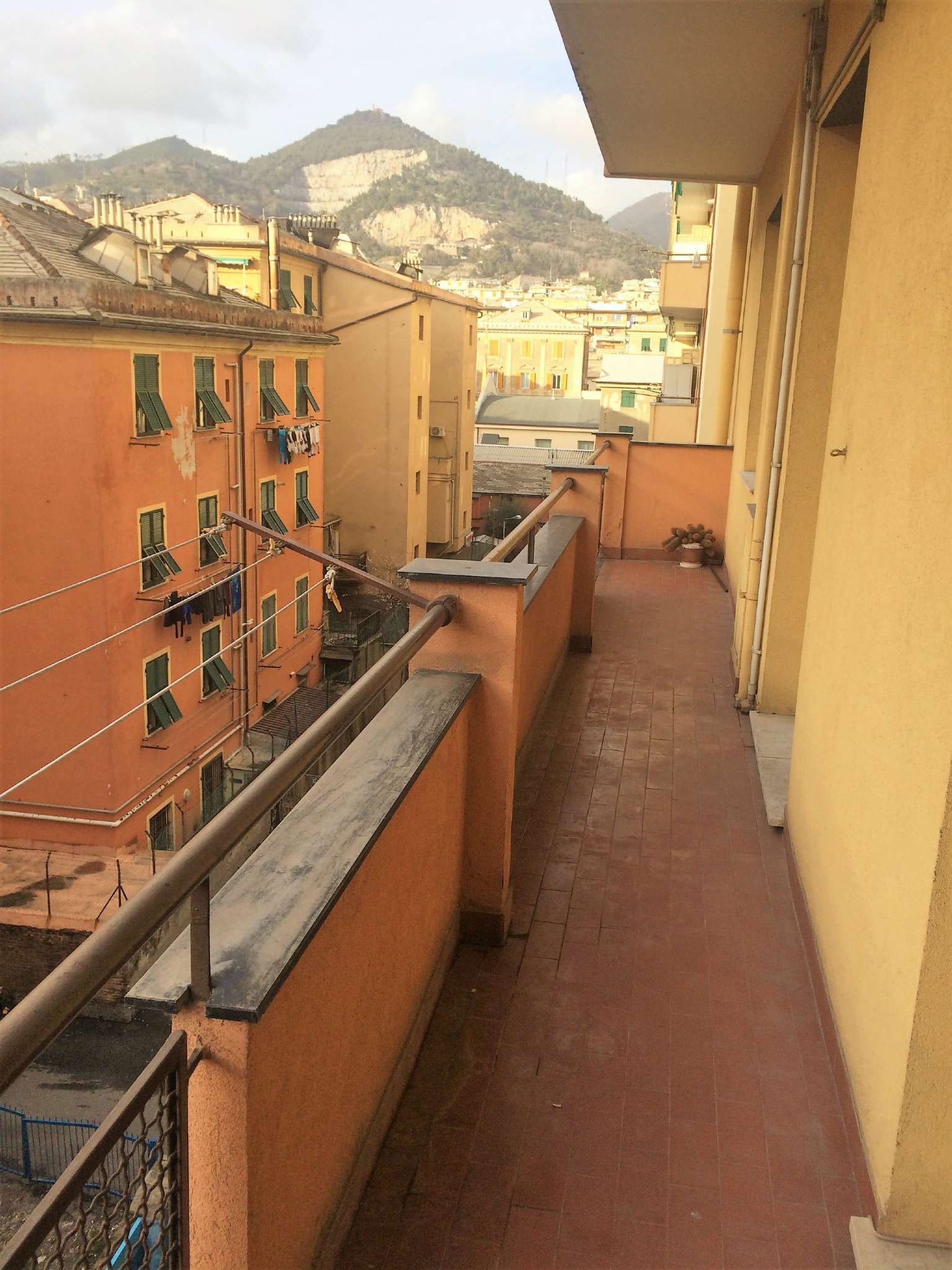 Appartamento GENOVA affitto  SESTRI P. Catalani Se Imm Srl