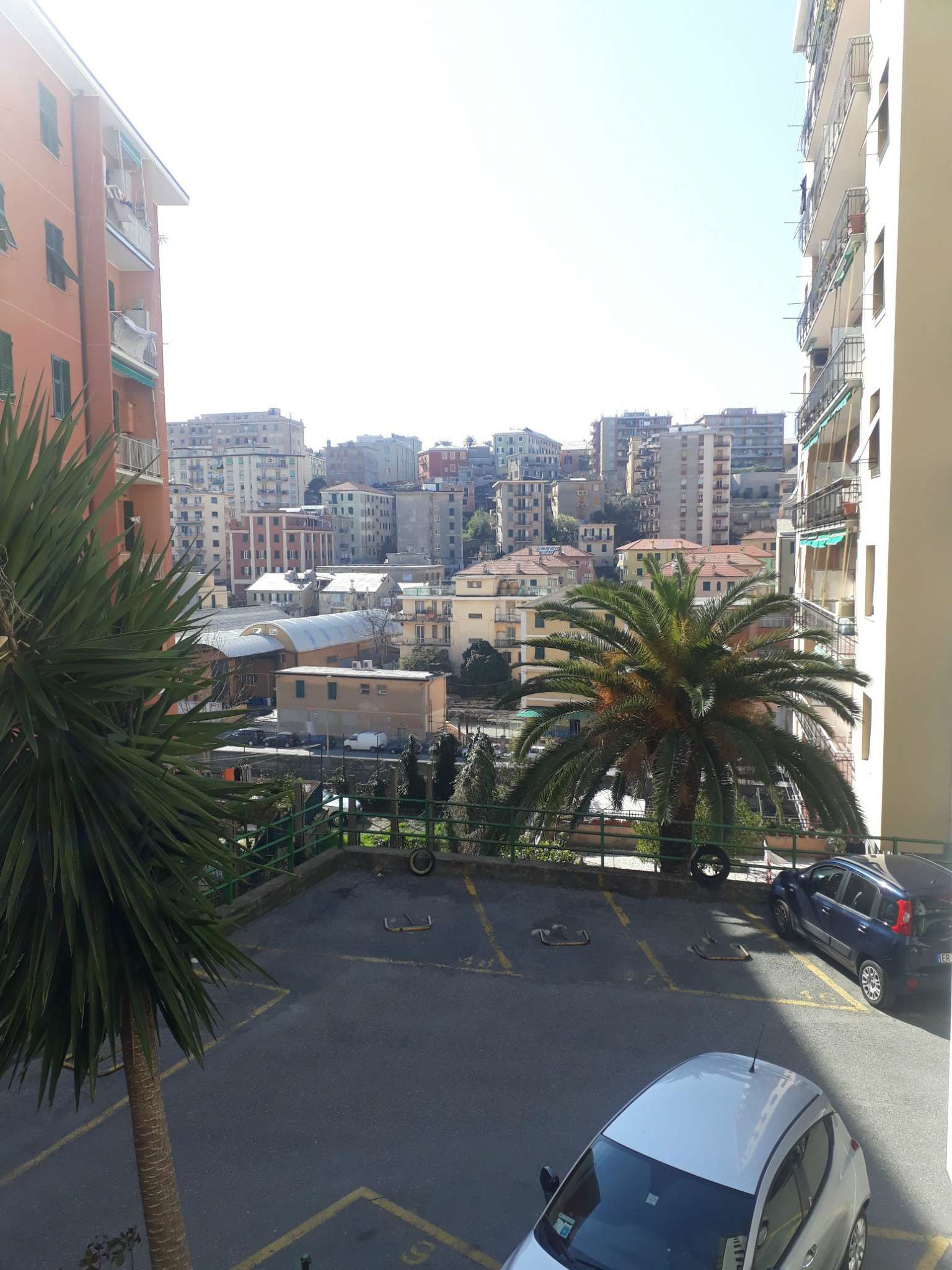  genova affitto quart: sestri p. se imm srl