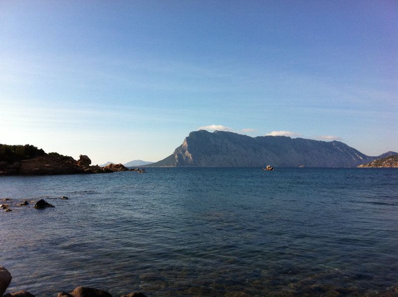 Appartamento SAN TEODORO affitto   Del Tirreno Se Imm Srl