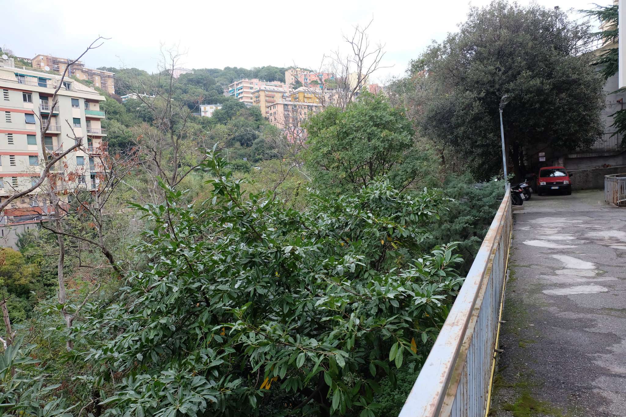 Appartamento GENOVA vendita  SAN FRUTTUOSO Bonacchi Genovesimmobiliare