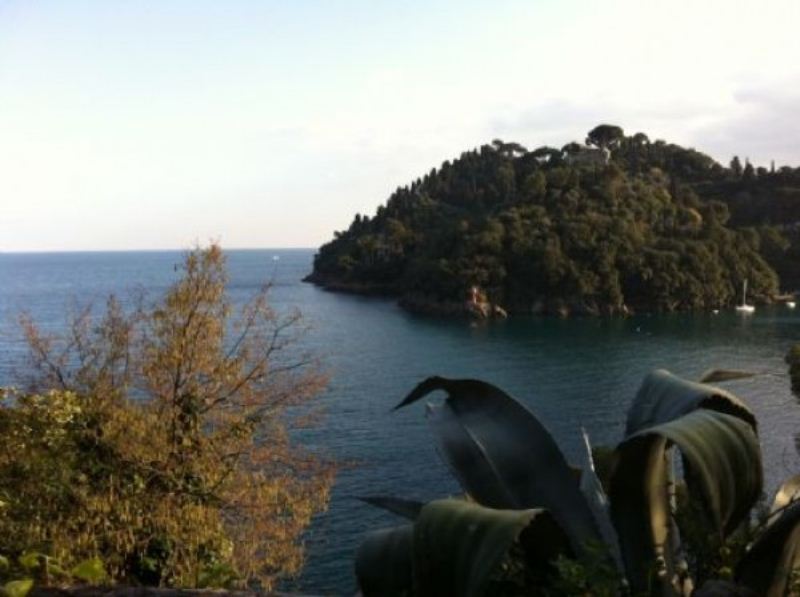 Villa Unifamiliare - Indipendente PORTOFINO affitto    Genovesimmobiliare