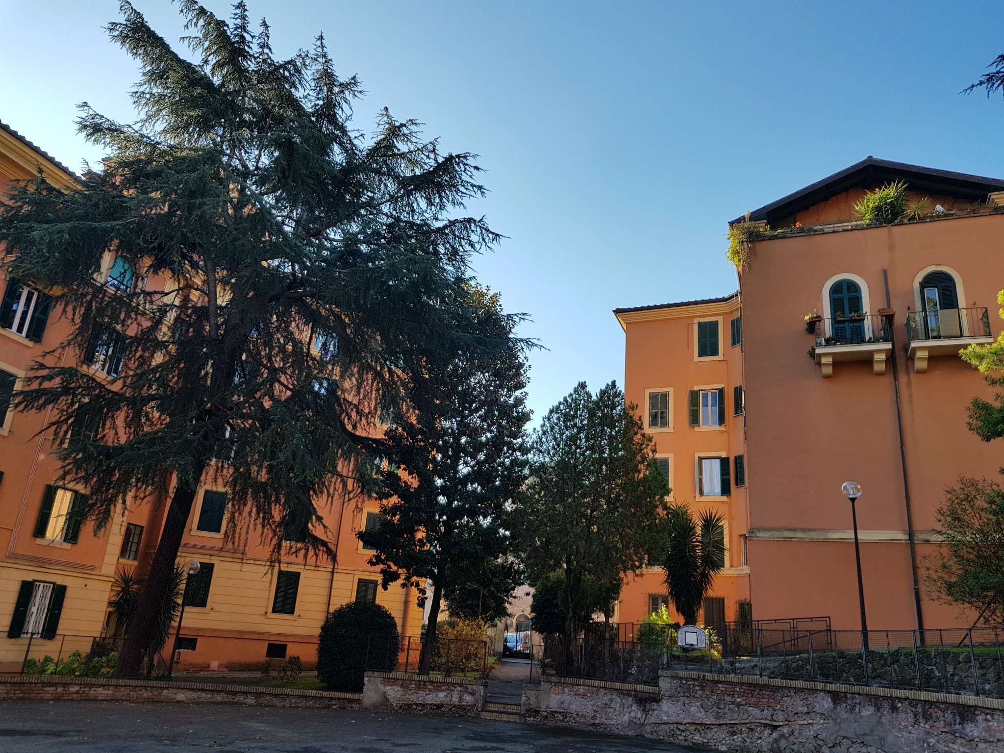 Appartamento ROMA vendita  NOMENTANO  pontida PUNTO IMMOBILIARE PROVINCIE