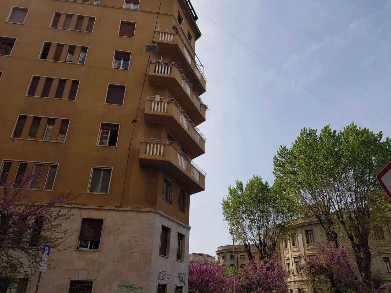 Appartamento ROMA affitto  NOMENTANO  Alfonso Borrelli PUNTO IMMOBILIARE PROVINCIE