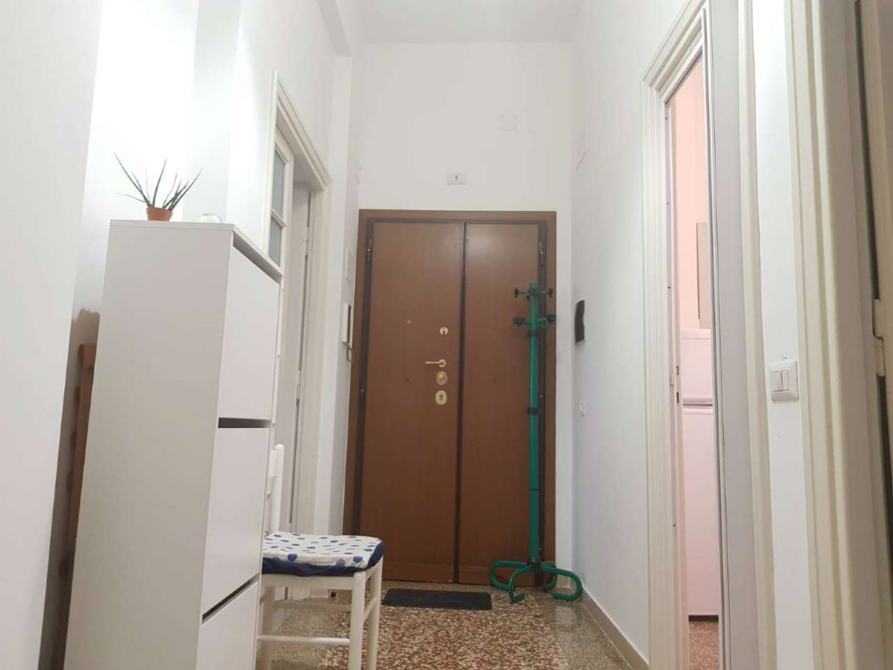 Appartamento ROMA vendita  BOLOGNA di Sant'ippolito PUNTO IMMOBILIARE PROVINCIE