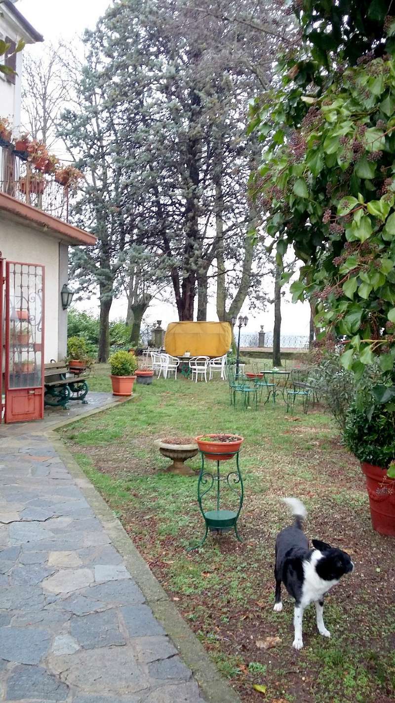 Villa TORTONA vendita   Strada Provinciale Garbagna Metropolis