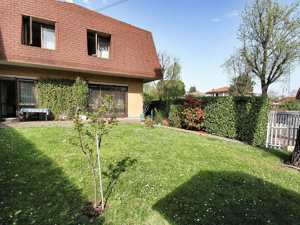 Villa Affiancata - Schiera ARESE vendita   dei tigli Nuova Casa