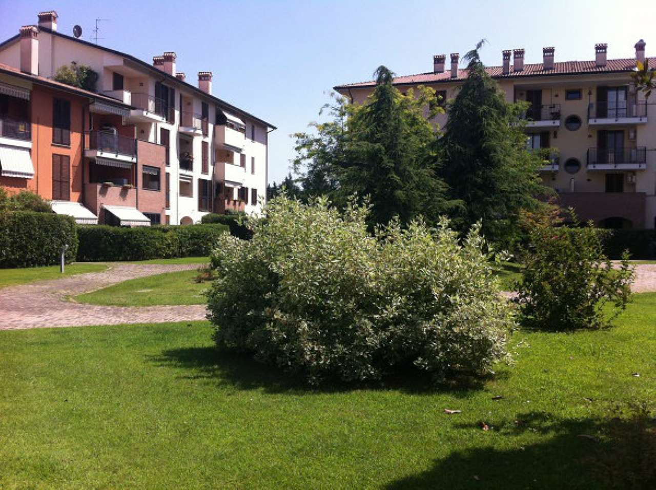 Appartamento CERNUSCO SUL NAVIGLIO vendita   Roggia Arzona Martesana Case s.r.l.