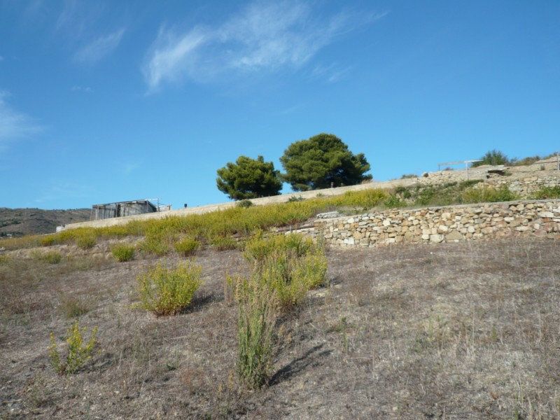 Santo Stefano al Mare  - Santo Stefano al mare  - via santo stevi superiore  - 1700 mq