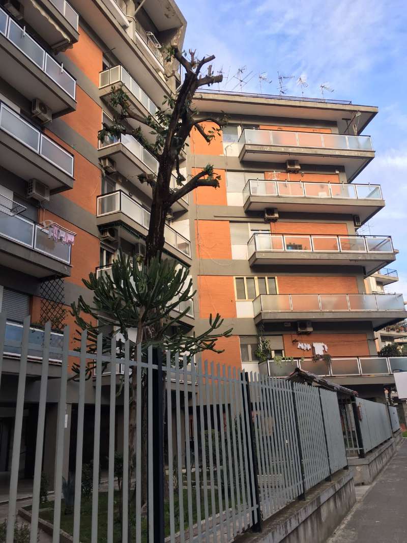 Appartamento NAPOLI vendita  PONTICELLI Hemingway Doma Immobiliare S.a.s.