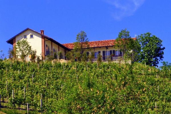 Rustico-casale Vendita Monforte D'Alba
