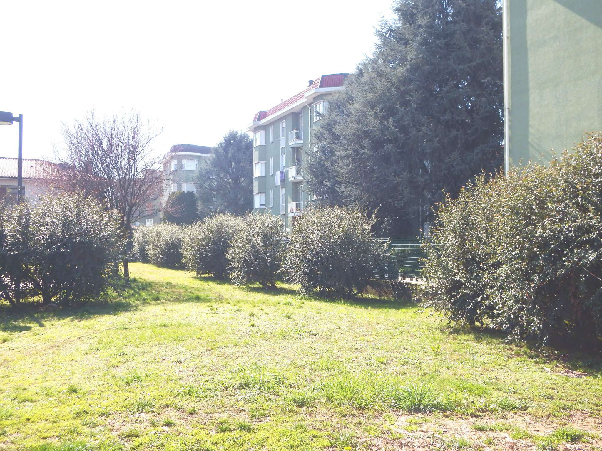 Appartamento CERNUSCO SUL NAVIGLIO vendita   Trieste Cfc Immobiliare