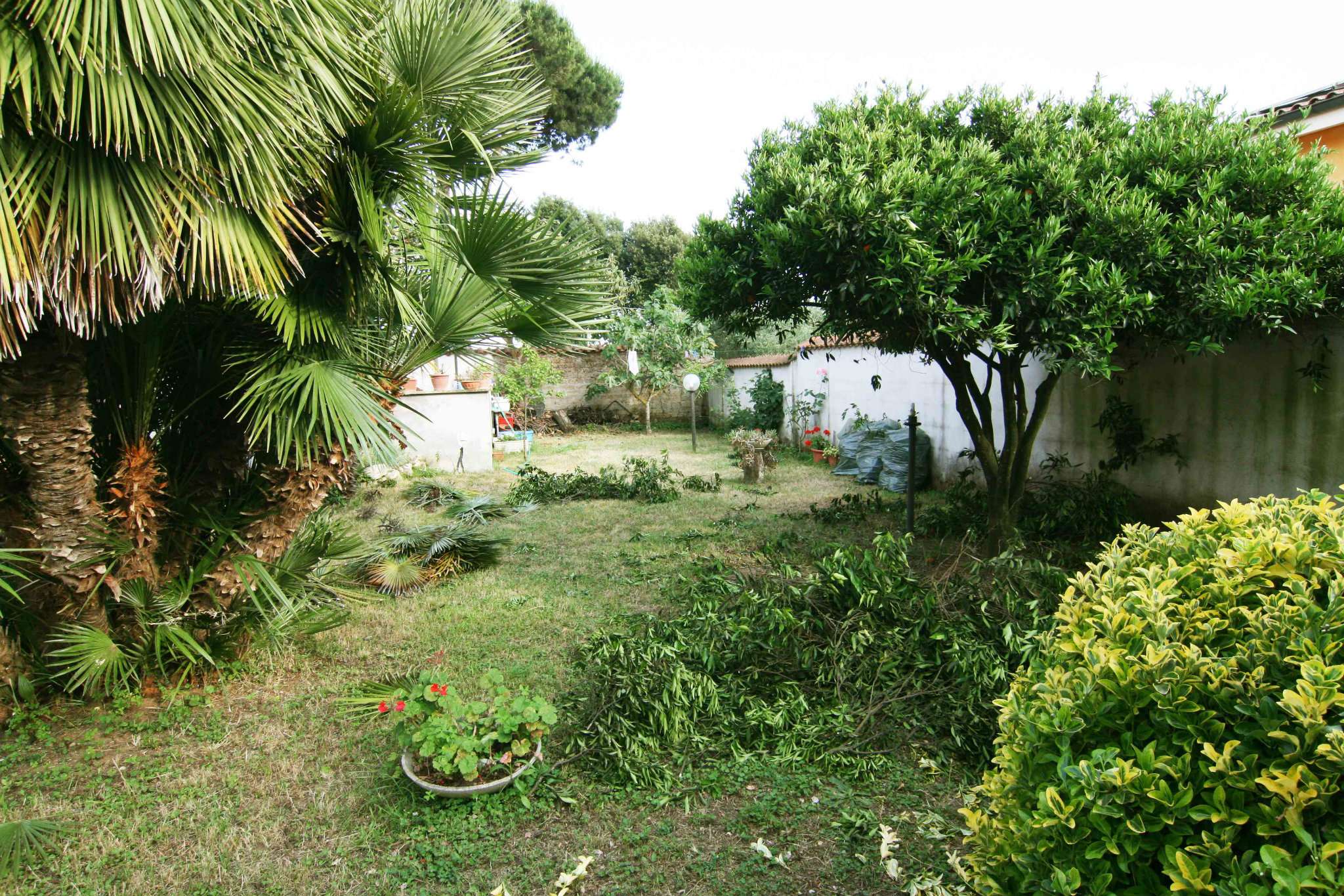 Villa NETTUNO vendita   rocca di papa DICIOTTO IMMOBILIARE