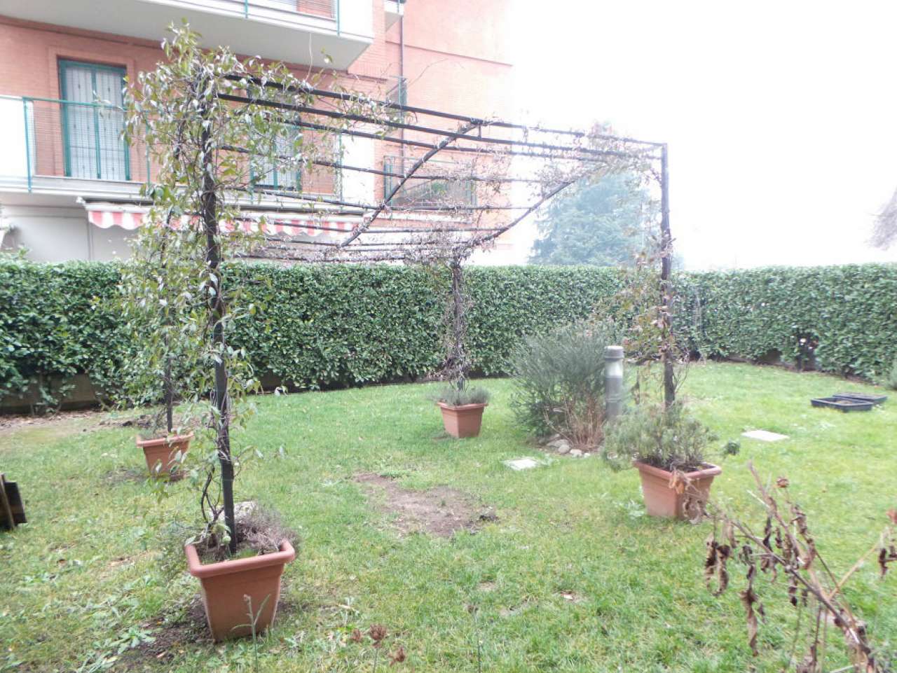 Appartamento MILANO vendita  BAGGIO Basilea Case in Città