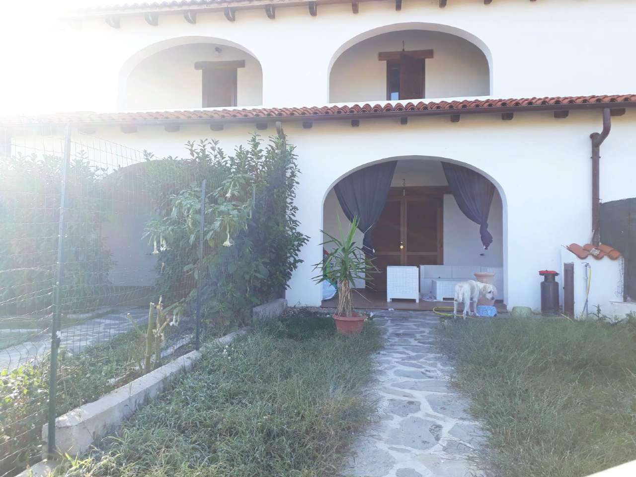 Villa Affiancata - Schiera SAN TEODORO vendita    Oikia REM