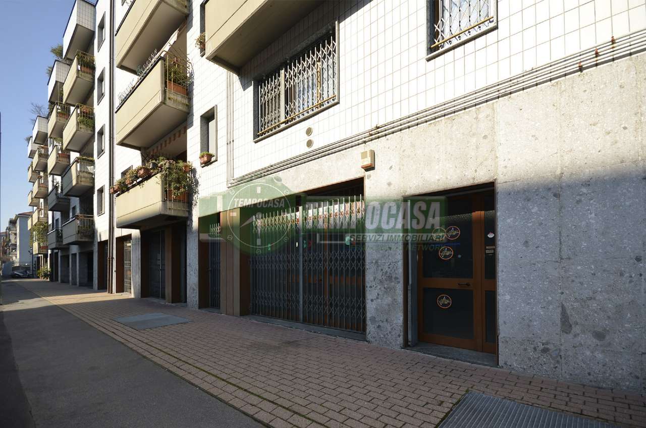 Appartamento MILANO vendita  BICOCCA Antonio Meucci Tempocasa Ponte Nuovo/Crescenzago