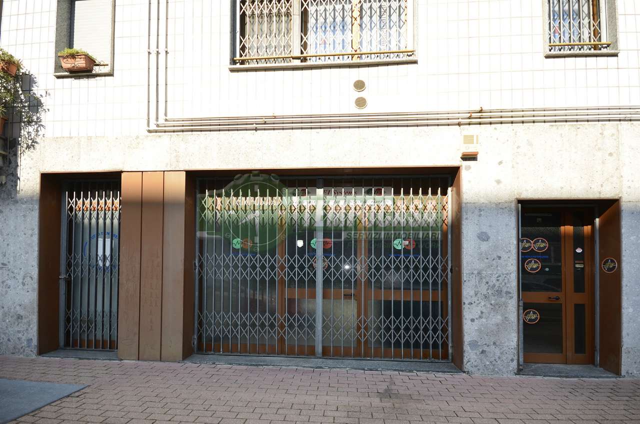 Appartamento MILANO vendita  BICOCCA Antonio Meucci Tempocasa Ponte Nuovo/Crescenzago
