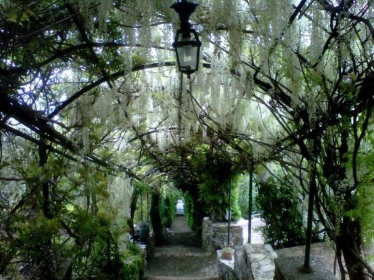 Villa SANTA MARGHERITA LIGURE affitto   Aurelia Immobiliare38