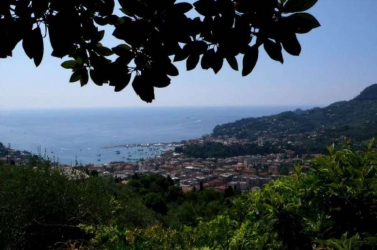 Villa SANTA MARGHERITA LIGURE affitto   Aurelia Immobiliare38