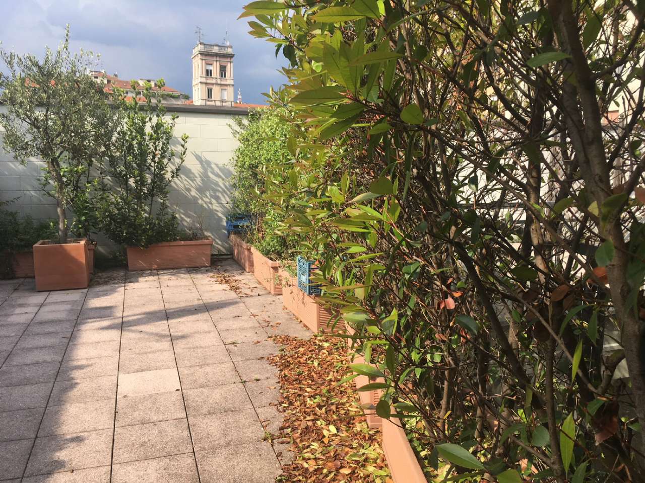 Appartamento MILANO affitto  BOCCONI Liguria Milano Navigli
