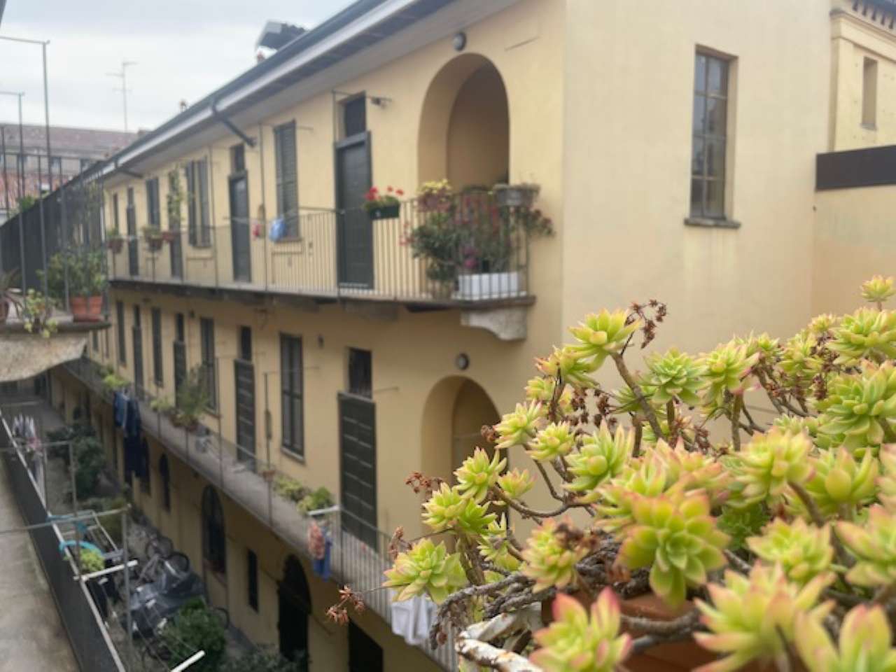 Milano Affitto APPARTAMENTO