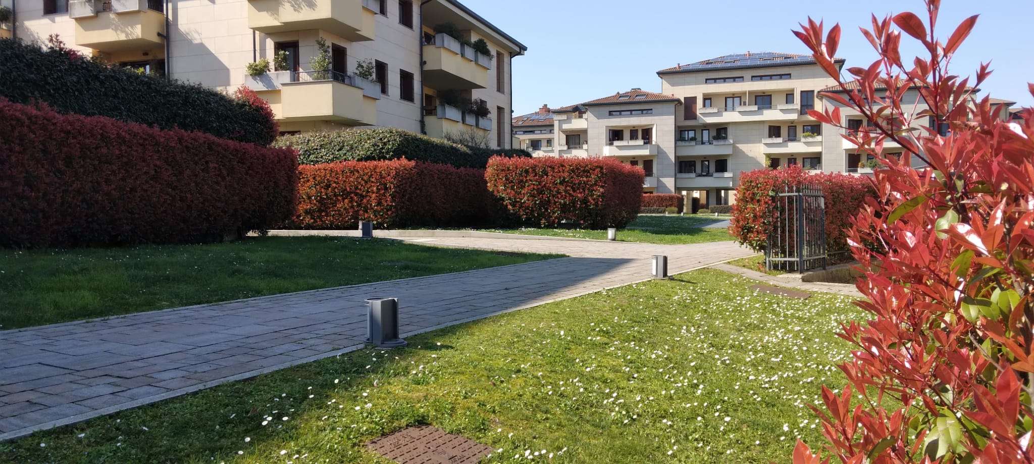 Assago Vendita APPARTAMENTO